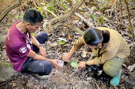 How scientists and a community are bringing a Bornean river corridor ... - raincitystudios.com