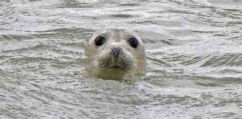 How social media can help sustainable nature tourism - balustradellc