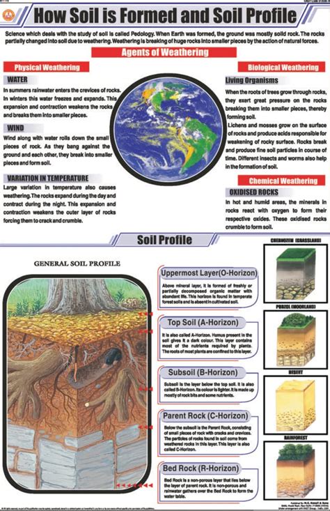 How Soil Is Formed - muktibox.com