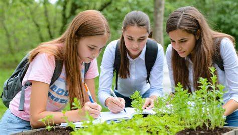 How Students Benefit from Learning About Nature - raincitystudios.com