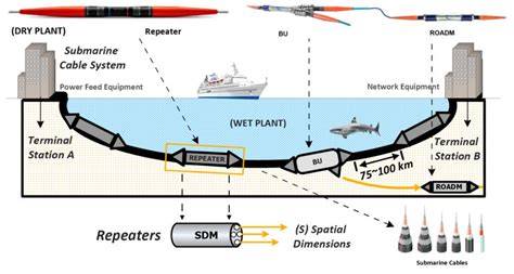 How Submarine Networking Works - Ciena - raincitystudios.com