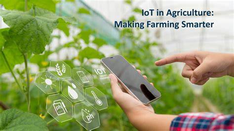How Technology Enables Smarter Orchard … - raincitystudios.com