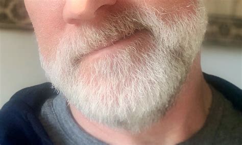 How The Beard Club Helped Me Grow a Beard - The Manual - balustradellc