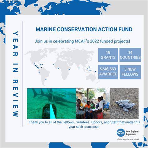 How the Marine Conservation Action Fund Powers … - raincitystudios.com
