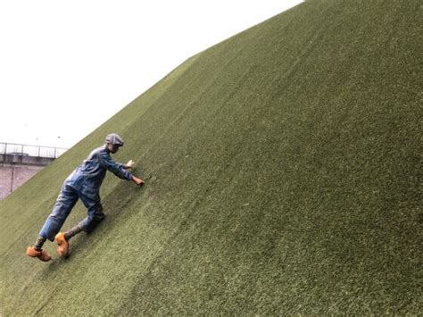 How the Netherlands Hid Its War Crimes for Decades - wintechmobiles.com