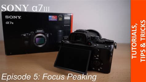 How to activate Focus Peaking in your Sony Alpha 7III / 7RIII / 7RIV ... - balustradellc