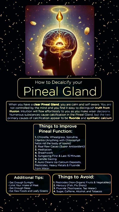 How to Activate the Pineal Gland: 6 Powerful Techniques for Spiritual ... - balustradellc