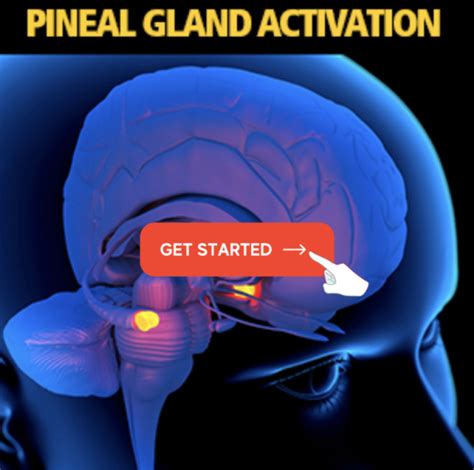 How to Activate Your Pineal Gland IN SECONDS! Step … - balustradellc