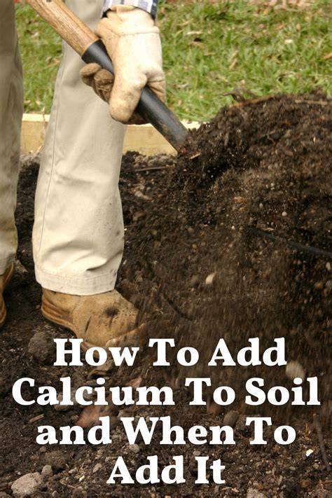How To Add Calcium To Soil and When To Add It - The … - raincitystudios.com