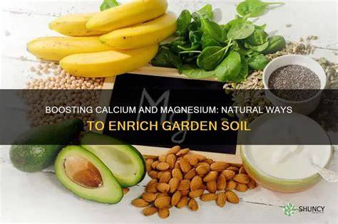 How to Add Calcium to Soil Naturally - Biology Insights - raincitystudios.com