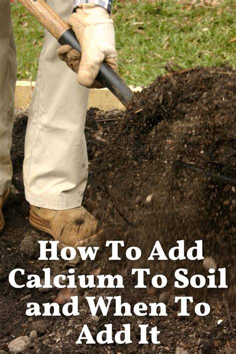 How to Add Calcium to Soil - HowdyFarmers - raincitystudios.com