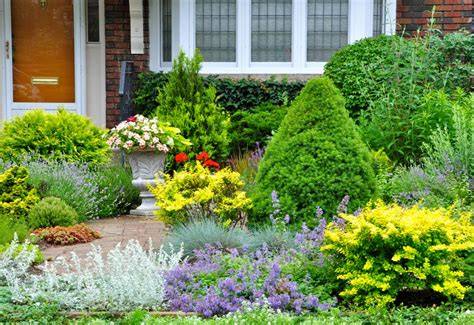 How to Add Security Plants to Your Yard - HGTV - raincitystudios.com