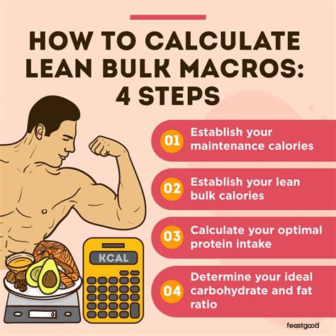 How to Adjust Calories and Macros as You Bulk to … - balustradellc