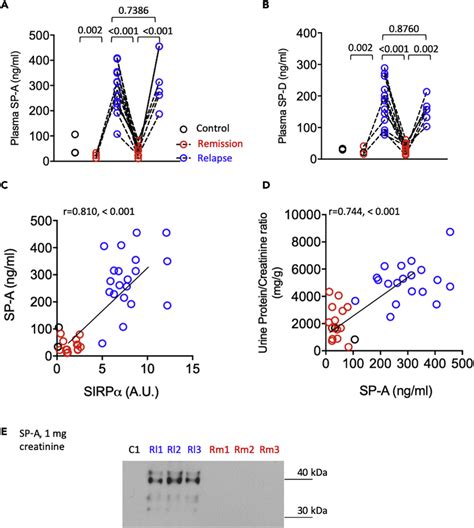 How to Adjust Surfactant Levels for Minimal Chemical Use - wintechmobiles.com
