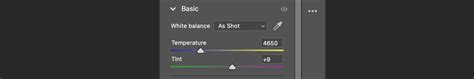 How to Adjust White Balance in Videos Using Adobe … - balustradellc