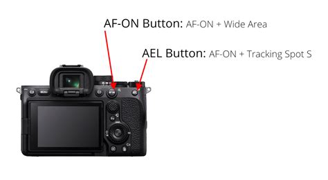 How to Adjust Your Autofocus - balustradellc