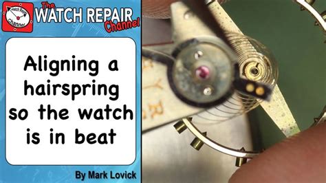 How To Align The Hairspring to set the watch in beat. Watch repair ... - balustradellc