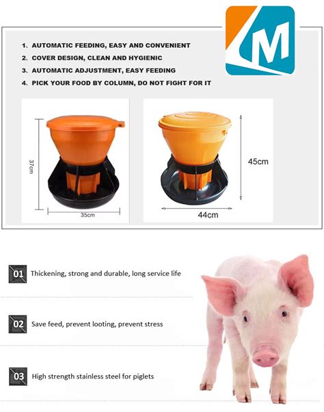 How to Align Your Pig Feeder Choices with Farm Goals - balustradellc