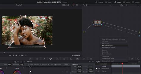 How To Animate Image in Davinci Resolve - balustradellc