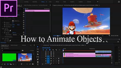 How To ANIMATE OBJECTS In PHOTOS In Premiere Pro - balustradellc