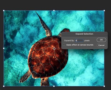 How to Animate Pictures in Photoshop (15 Steps) - balustradellc