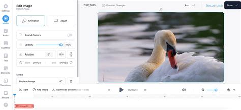 How to Animate Still Images Online: 6 Ways - MUO - balustradellc