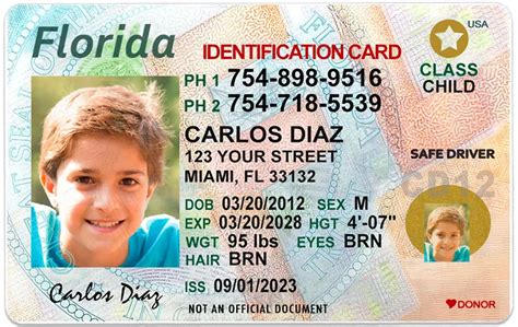 How To Apply For An ID Card In Florida - balustradellc