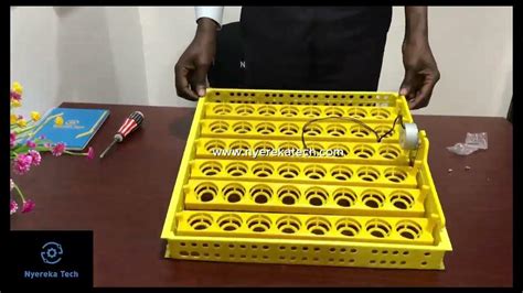 How to Assemble a 48 Egg Tray for Incubators – Best Method - balustradellc