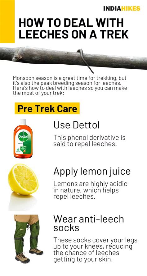 How To Avoid Leeches While Hiking (and How To Get … - balustradellc