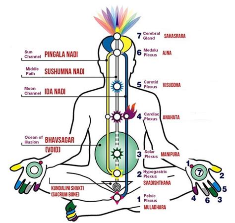 How To Awaken Your Kundalini Sexual Energy - balustradellc