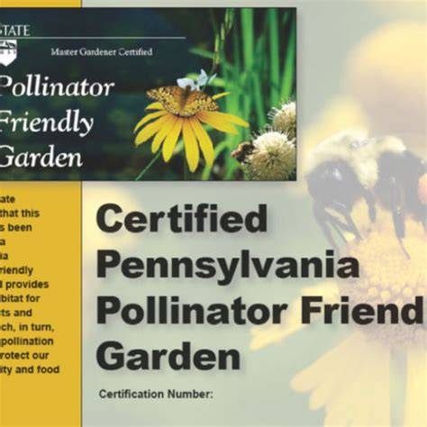 How To Become A Certified Pollinator Garden | Earn A Badge - raincitystudios.com