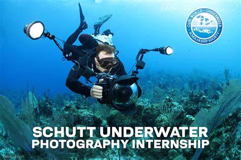 How to Become an Underwater Photographer step-by-step - raincitystudios.com
