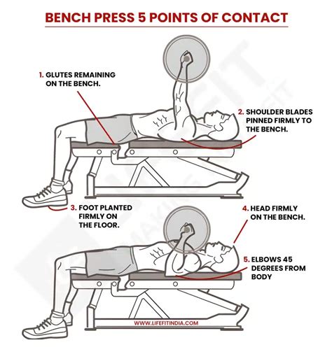 How to Bench Press with Proper Form: The Definitive … - balustradellc
