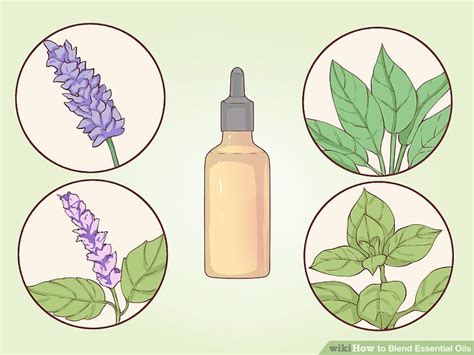 How to Blend Essential Oils: 11 Steps (with Pictures) - wikiHow - wintechmobiles.com