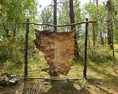 How to Brain Tan a Pelt - Sportsman's Guide - wintechmobiles.com