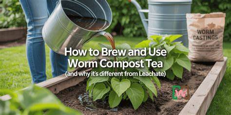 How to Brew and Use Compost Tea - Dengarden - raincitystudios.com