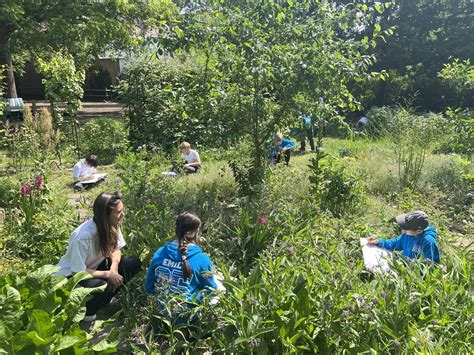 How to Bring Nature into Schools - UNature - raincitystudios.com