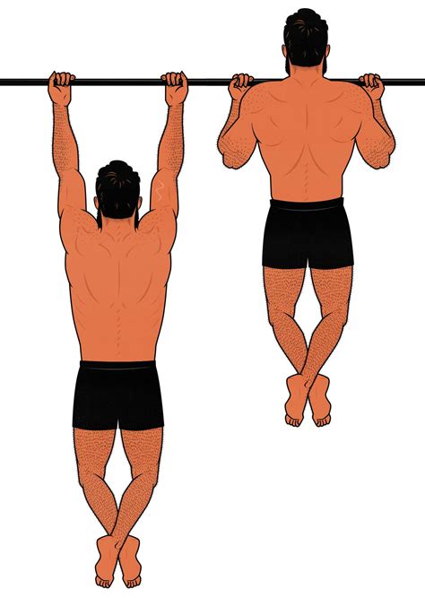 How to Build a Bigger Back Using Chin Ups - Muscle & Strength - balustradellc