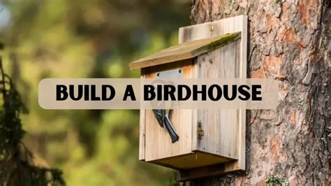 How to Build a Birdhouse for Beginners - Live to Plant - balustradellc