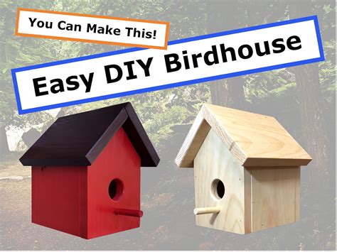 How to Build a Birdhouse in 8 Easy Steps - Woodsmith - balustradellc
