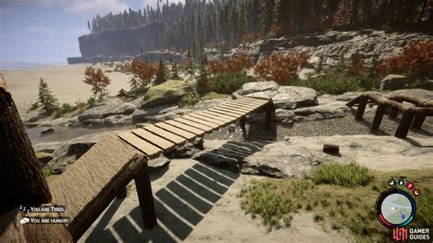 How to Build a Bridge in Sons of the Forest - Gamer Guides - balustradellc