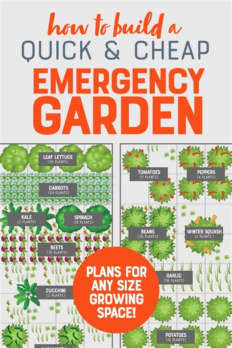 How to Build a Cheap, Easy Emergency Vegetable … - balustradellc