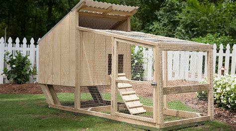 How To Build A Chicken Coop In 4 Easy Steps - balustradellc