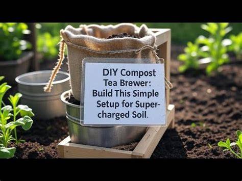 How to Build a Compost Tea Brewer for Healthy Soil - raincitystudios.com