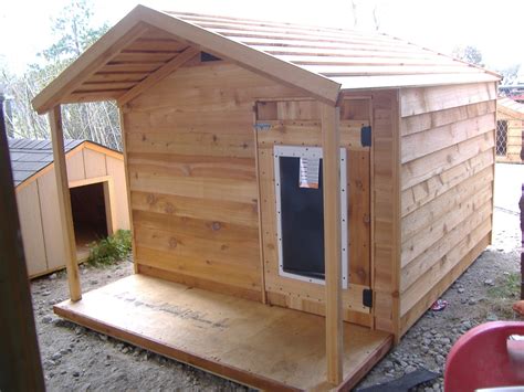 How to Build a Custom Insulated Dog House • HouseCalls - balustradellc