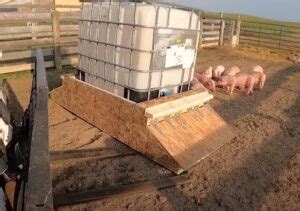How to Build a Custom Pig Feeder for Your Farm - Barn World - balustradellc