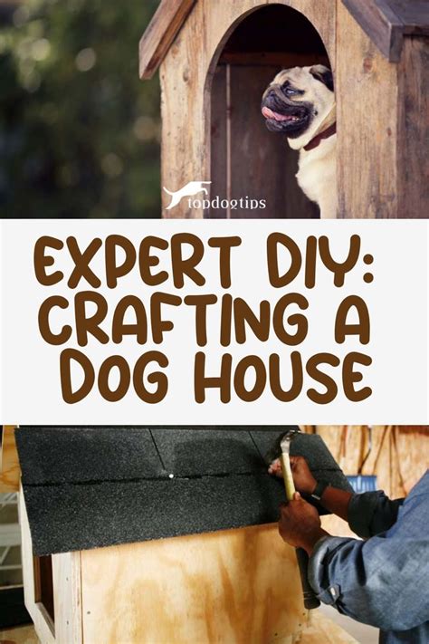 How to Build a Dog House: 5 DIY Expert Tips - Top … - balustradellc