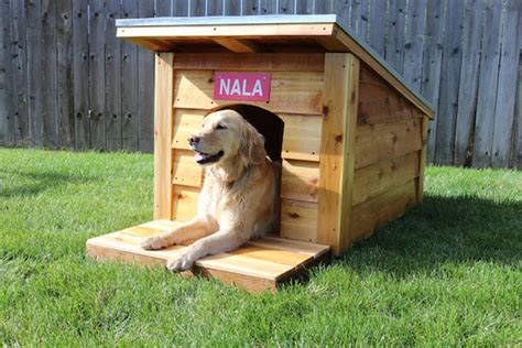 How to build a dog house: Amazing design ideas - balustradellc