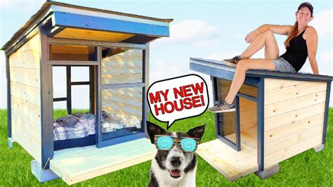 How to Build a Dog House | Angi - balustradellc