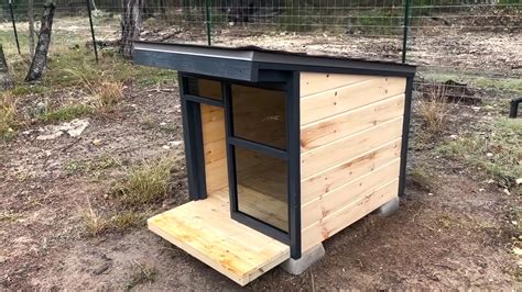 How to Build a Dog House | zooplus Magazine - balustradellc